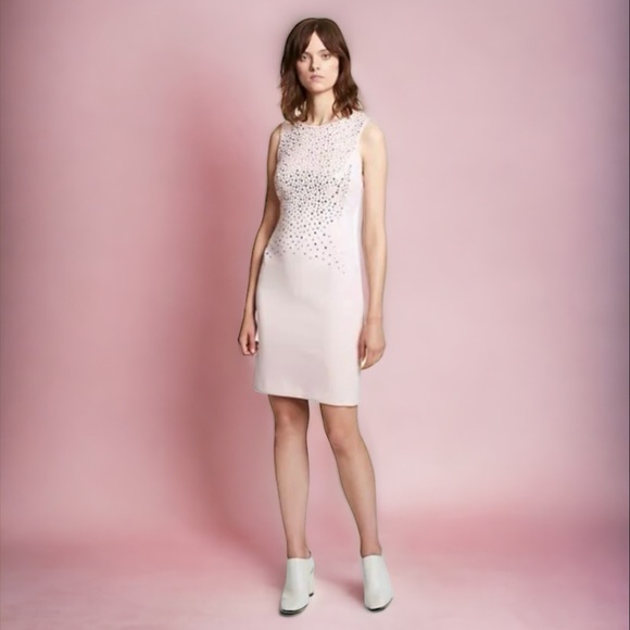 Calvin Klein Dresses & Skirts - Calvin Klein Blush Rose Mirror Design Dress Size 6